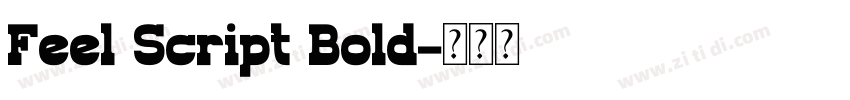 Feel Script Bold字体转换